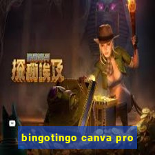 bingotingo canva pro